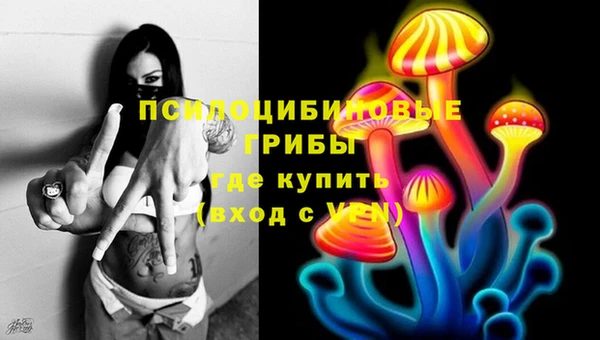 ПСИЛОЦИБИНОВЫЕ ГРИБЫ Лабытнанги