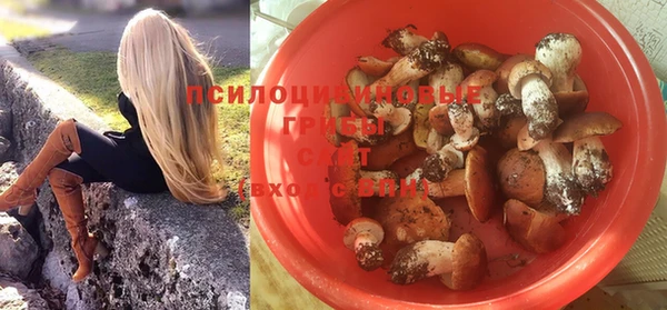 ПСИЛОЦИБИНОВЫЕ ГРИБЫ Лабытнанги