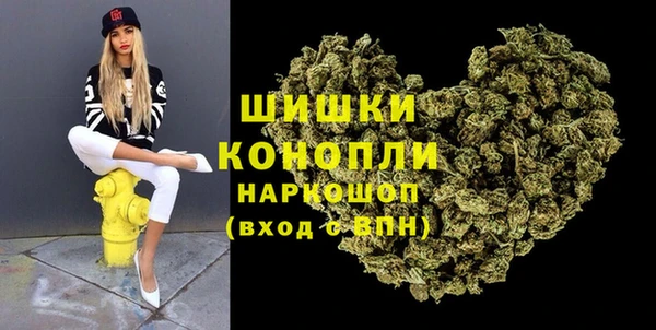 spice Лагань
