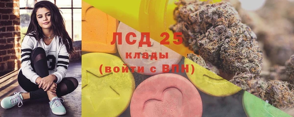 spice Лагань