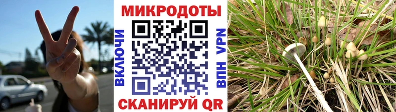 Псилоцибиновые грибы Cubensis  Янаул 