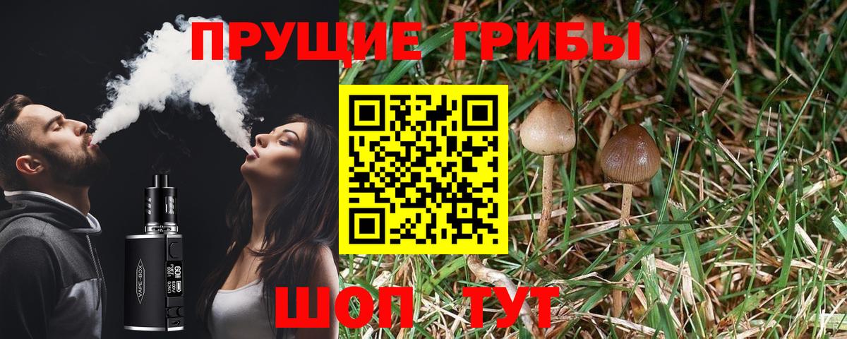 Янаул  Псилоцибиновые грибы MAGIC MUSHROOMS  Вход с VPN 