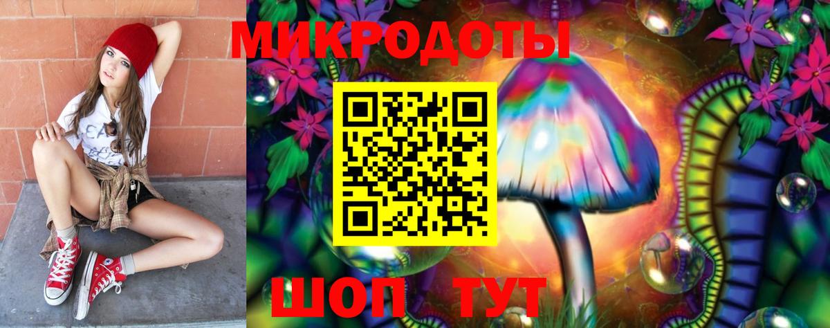 Псилоцибиновые грибы Psilocybe Янаул